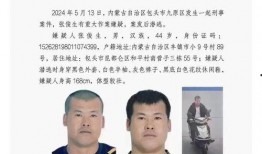 今日内蒙古爆料最新消息,揭秘神秘事件背后的真相